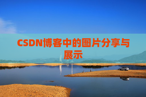 CSDN博客中的图片分享与展示